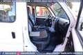 Suzuki Carry EECO Passengers 1.2 80cv 7POSTI Euro6 Blanco - thumbnail 36