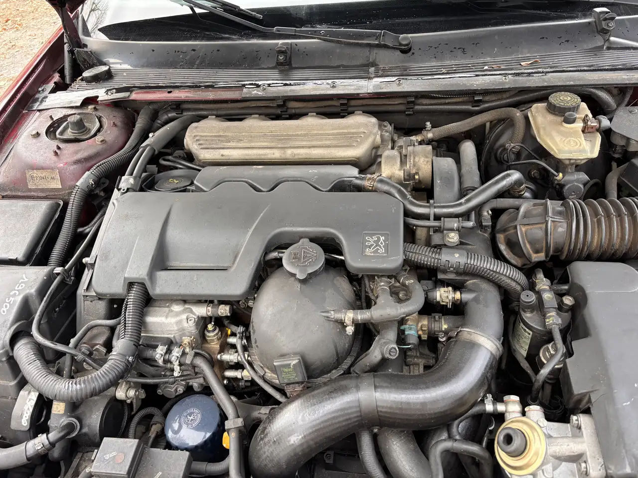 Peugeot 605 2.5 dt ST, foto 6