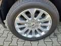 Ford F 150 F-150 Super Crew Limited 3,5 V6 Fullhybrid Schwarz - thumbnail 6