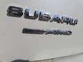 Subaru XV XV 1.6i Lineartronic Style Bianco - thumbnail 17