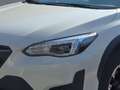 Subaru XV XV 1.6i Lineartronic Style Bianco - thumbnail 6