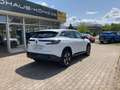 Renault Austral 1.3 TCe 140 Equilibre Automatik Wit - thumbnail 4