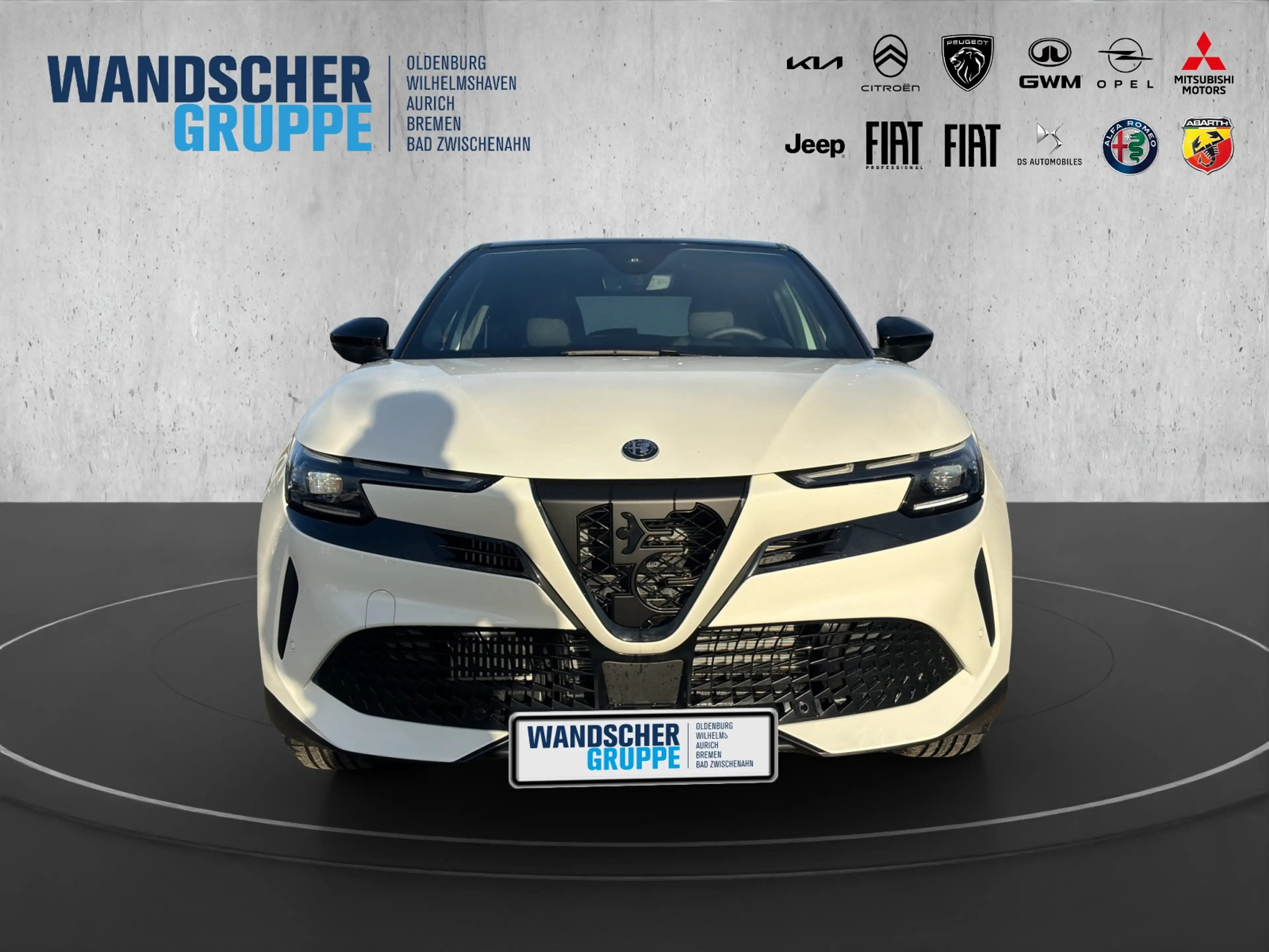 Alfa Romeo Junior Ibrida SPECIALE 1.2 100KW ''LED''MASSAGE' — photo 10