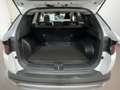Hyundai TUCSON Tucson 1.6 crdi 48V Exellence 2wd 140cv auto my20 Blanc - thumbnail 17