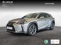 Lexus UX 300h 2.0  Plus - thumbnail 1