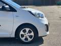 Kia Picanto 1.0 CVVT Comfort Pack AIRCO/APK 2024/NETTE AUTO Blanco - thumbnail 5