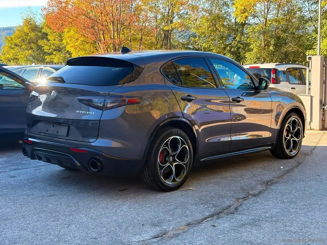 2025 Alfa Romeo Stelvio 2.2 T.diesel 210CV AT8 Q4 Veloce, photograph 5