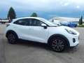 Ford Puma 1.0 EcoBoost Hybrid Aut. TITANIUM Blanc - thumbnail 5