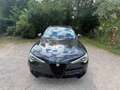 Alfa Romeo Stelvio Stelvio Ti 2,2 16V 190 AT8 Q4 Ti Schwarz - thumbnail 9