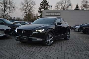 Hakoné - Automaat + Trekhaak