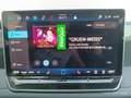 Volkswagen Tiguan 2.0 TDI SCR Friends DSG Grau - thumbnail 42