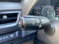 Lexus UX 250h Preference Line NL-AUTO NAVI BLIND SPOT PARKEERSEN Zwart - thumbnail 23