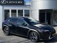 Lexus UX 250h Preference Line NL-AUTO NAVI BLIND SPOT PARKEERSEN Zwart - thumbnail 1
