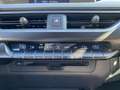 Lexus UX 250h Preference Line NL-AUTO NAVI BLIND SPOT PARKEERSEN Zwart - thumbnail 17