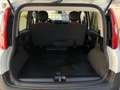 Fiat Panda 1.3 mjt 16v Easy s Blanc - thumbnail 12