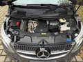 Mercedes-Benz Marco Polo 250d 4MATIC EDITION AMG MBUX LED Unfallfrei 1.Hand Grau - thumbnail 10