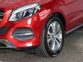 Mercedes-Benz GLE 350 GLE 350 d 4Matic 9G-TRONIC Exclusive Roşu - thumbnail 5