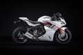 Ducati SuperSport 950 S Wit - thumbnail 5