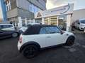 MINI One Cabrio 1.Hand,Scheckheft,Klima,Traumzustand Weiß - thumbnail 4