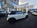 MINI One Cabrio 1.Hand,Scheckheft,Klima,Traumzustand Weiß - thumbnail 6
