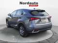 Lexus NX 300 NX Hybrid 4WD Premium Grigio - thumbnail 5