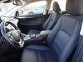 Lexus NX 300 NX Hybrid 4WD Premium Grigio - thumbnail 10