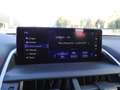 Lexus NX 300 NX Hybrid 4WD Premium Gris - thumbnail 17