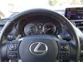 Lexus NX 300 NX Hybrid 4WD Premium Grigio - thumbnail 14