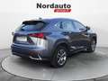 Lexus NX 300 NX Hybrid 4WD Premium Grigio - thumbnail 7