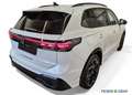 Volkswagen Tiguan 2.0 TDI R-Line DSG/LED/Area View/Sitz.-Lenkradhzg. Weiß - thumbnail 2