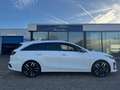 Kia ProCeed / pro_cee'd 1.4 T-GDI | GT-Line | AUTOMAAT | PANO | HARMAN KAR Wit - thumbnail 6