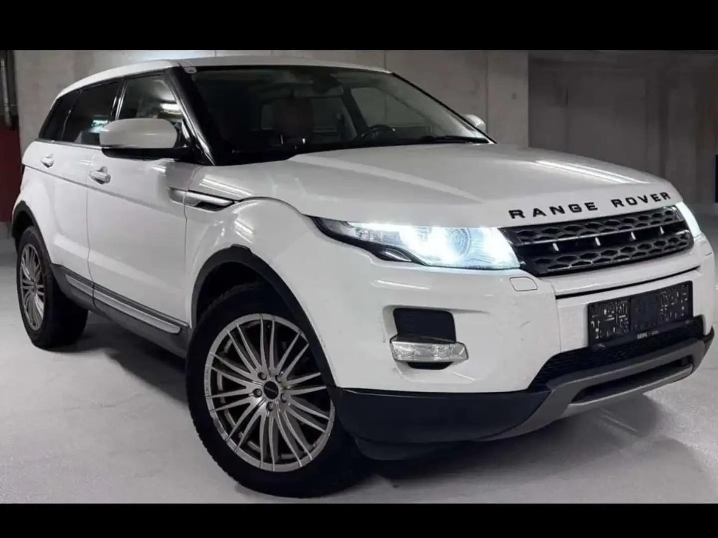 Land Rover Range Rover Evoque Prestige Weiß - 1