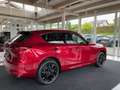 Mazda CX-60 3.3L e-SKYACTIV D AWD HOMURA CON/DRI Aut. Rot - thumbnail 5