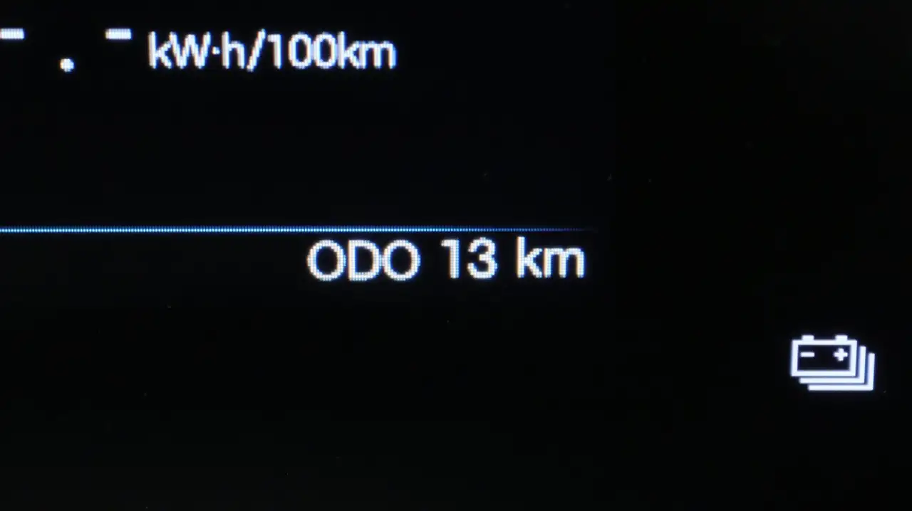 BYD DOLPHIN SURF