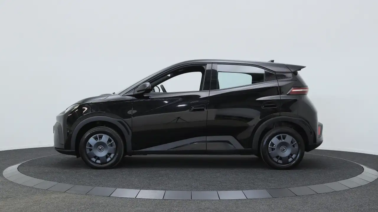 BYD DOLPHIN SURF