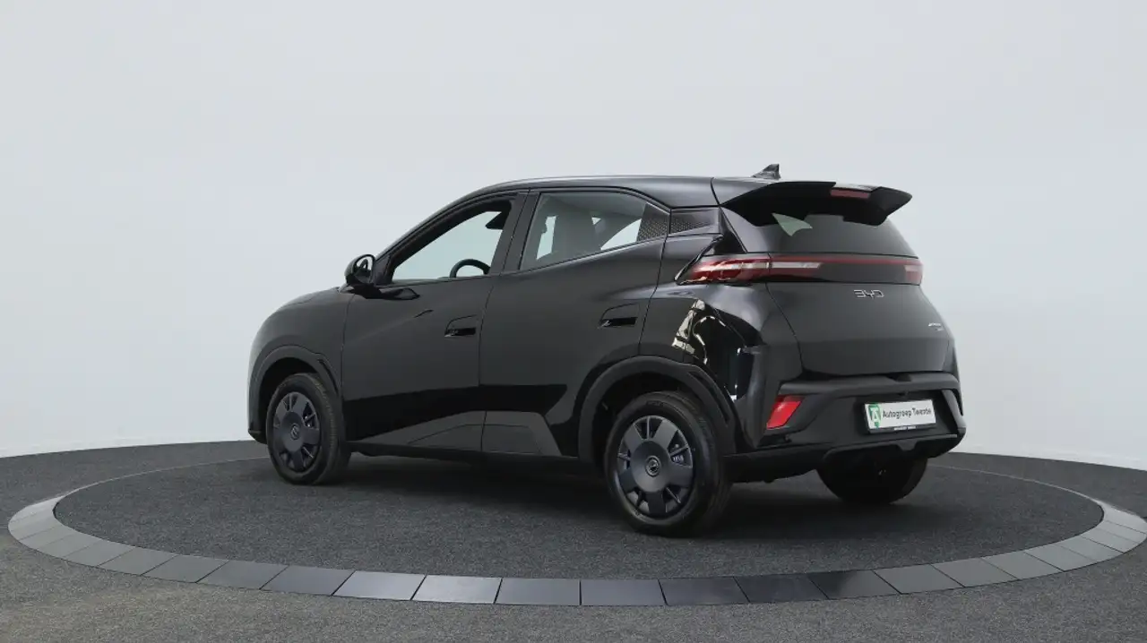 BYD DOLPHIN SURF