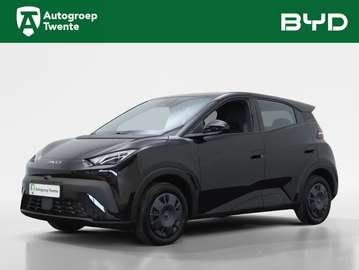 Active 30 kWh | Private Lease 389,- p.m. Inclusief