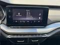 Skoda Octavia Combi 1.4 TSI iV PHEV Business 1e eigenaar ! Blau - thumbnail 32