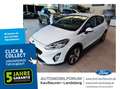 Ford Fiesta 1.0 EcoBoost Active SHZ PDC AppLink Weiß - thumbnail 1