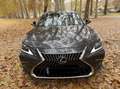 Lexus ES 300 300h Premium - thumbnail 13