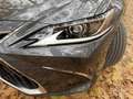 Lexus ES 300 300h Premium - thumbnail 12