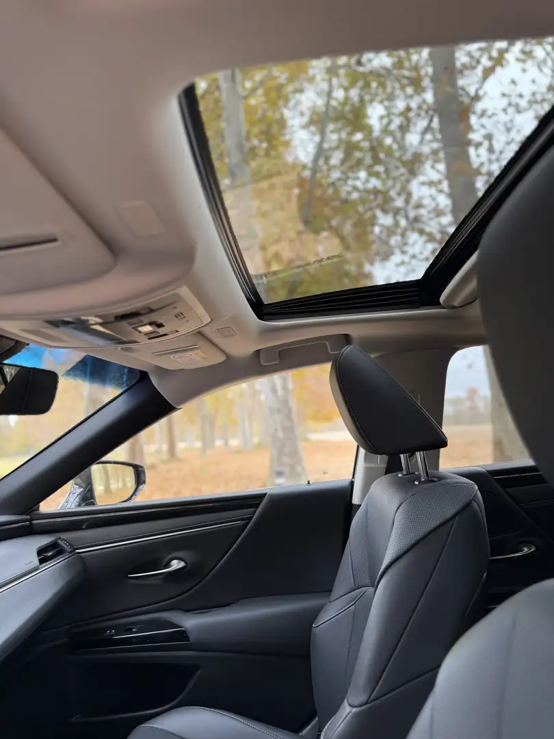 Lexus ES 300 300h Premium - 2