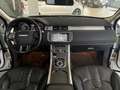 Land Rover Range Rover Evoque Pure 2.2 SD4 *PANO*KAMERA* Weiß - thumbnail 7