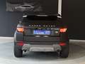Land Rover Range Rover Evoque Pure 2.2 SD4 *PANO*KAMERA* Weiß - thumbnail 5