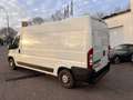 Peugeot Boxer HDi (333) Blanco - thumbnail 4