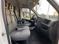 Peugeot Boxer HDi (333) Blanco - thumbnail 9