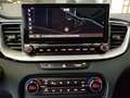 Kia ProCeed / pro_cee'd 1.5T GT LINE Automatik Navi 8fach-bereift Klimaaut Gris - thumbnail 18