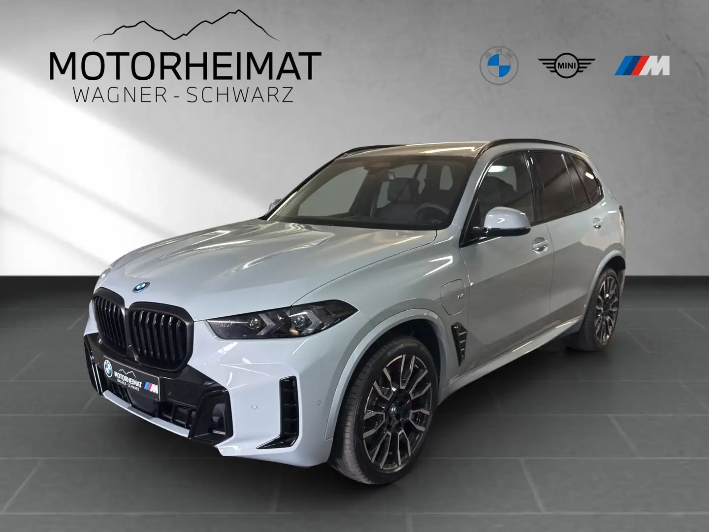 BMW X5 xDrive50e M Sport Pro 360° SoftClose DriveAssPro Grau - 1