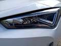 CUPRA Leon ST VZ 2.0TSI DSG LED+APP+DAB+ACC+PDC+NSW+VC Weiß - thumbnail 15