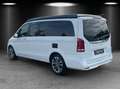 Mercedes-Benz Marco Polo MarcoPolo 250d EDITION Küche ILS Markise 360°AHK Weiß - thumbnail 3